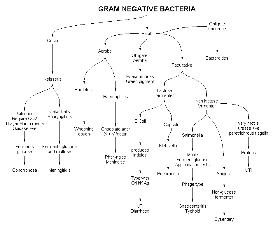 Microbiology Unknown Lab Report - Scribd